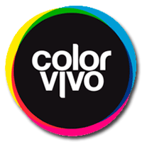 Mr. Sigsegv - Curriculum - Color Vivo
